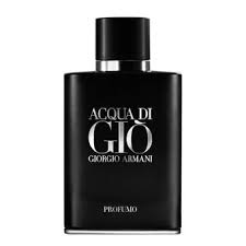 Giorgio Armani Acqua di Giò Profumo Eau de Parfum (EDP) 100ml